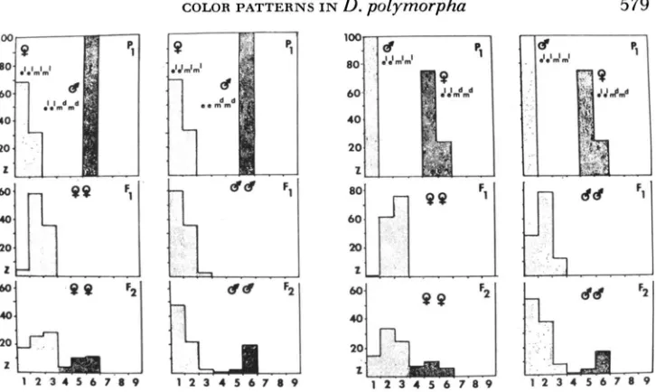 FIGURE 2.-Frequency distribution (in percent) elel bers lightening modifiers are quasi-dominant over the darkening ones of the phenotypic hquencies of homozygotes with lightening modifiers (m'ml) or darkening modifiers (mdma) and their offspring