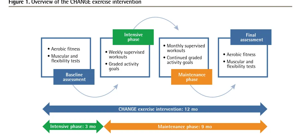 Figure 1. Overview of the CHANGE exercise intervention