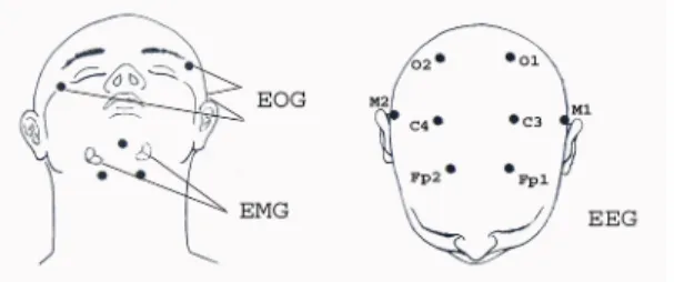 Figure 1.: derivations of EEG, EOG, and EMG  signals, modification of picture in [1]