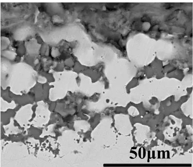 Figure 3.  Electrochemical process of intergranular corrosion in molten fluoride salt