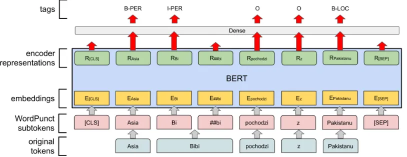 Figure 2: In the ﬁgure, Es and Rs represent the input embedding and the contextual representation of subtokens, [CLS] is the special symbol to get full input representation, and [SEP] is the special symbol to separate non-consecutive token sequences.