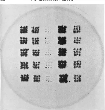 FIGURE 1.-An we:e itself was used as a negative by inserting it into a photographic enlarger and making the print and the plate incubated (r73 r70 test plate using Method I