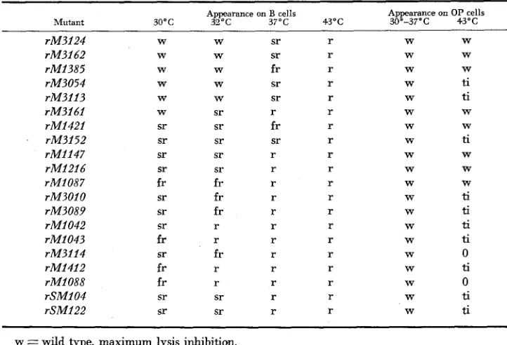 TABLE 2 Plaque morphology of cryptic mutants in the absence of the sensitizing mutation 