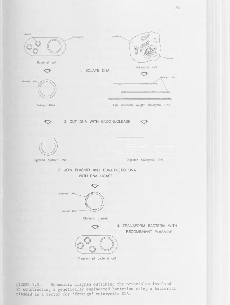 FIGURE 1.3: in constructin