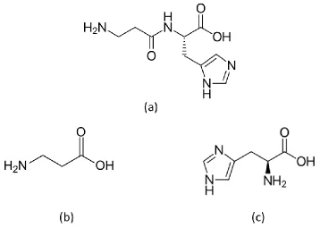 Figure 1.  Chemical structures of L-carnosine (a), -alanine (b) and L-histidine (c). 