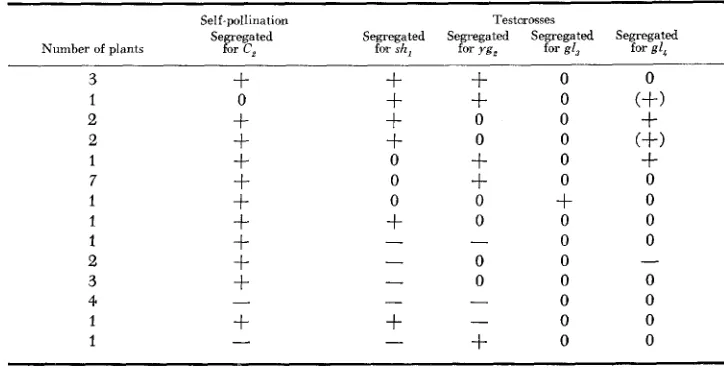 TABLE 4 