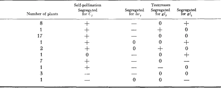 TABLE 5 Results obtained from self-pollinating TB 4L, IL,,,, and testcrossing with lw,, gl,, and gl,* 
