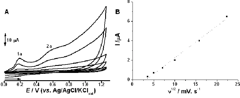 Figure 1.  A. CV voltammograms of BT at different scan rates (500, 250, 100, 50, 25, 12.5 mVs-1) scan range from 0 to 1.3 V