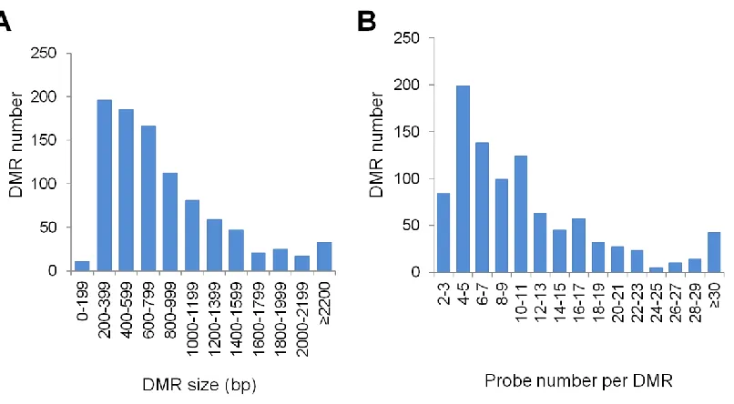 Figure S2   Characteristics of DMRs used in this study. (A) Size distribution of 962 DMRs used in this study