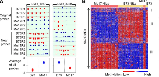 Figure 1 Methylation assays in B73, Mo17, and theirwith B73 genotype and NILs with Mo17 genotype, although they were different between B73 inbred and Mo17 inbred