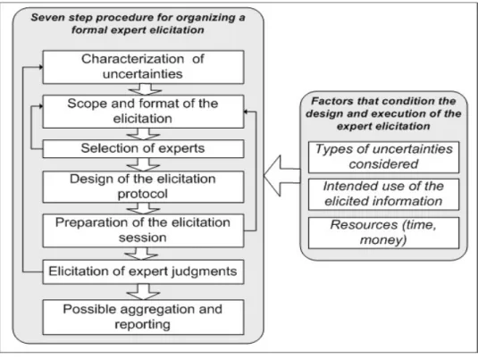 Figure 1 General schematic for SEE