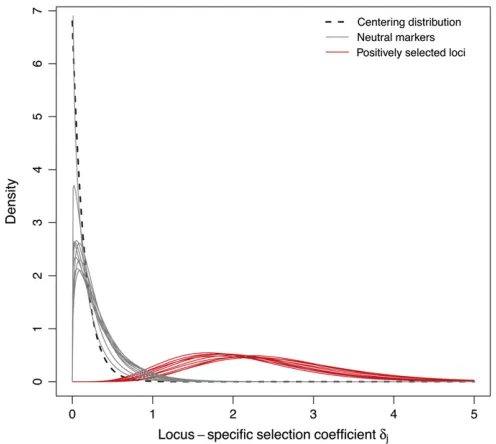Figure 2 Examples of posterior densities of the locus-speciexponential distributionThetribution of the genome-wide effect of selection,ﬁc hyperpara-meter dj for neutral markers (in gray) and positively selected loci (in red)