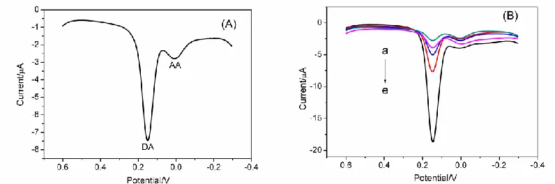 Figure 9. (A) DPVs of a mixture of10 M DA and 1000 M AA at the GQDs/GCE in pH 7.0 PBS, pulse amplitude: 50 mV, pulse width: 50 ms; (B) DPVs of DA at the GQDs/GCE in the presence of 1000 M AA in pH 7.0 PBS