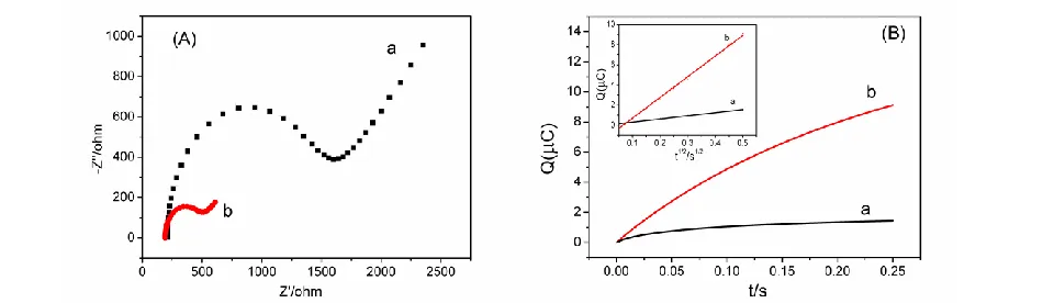 Figure 2. (A) Nyquist plots of different electrodes in 5 mM [Fe(CN)6]3-/4- containing 0.1 M KCl: bare GCE (a) and GQDs/GCE (b)