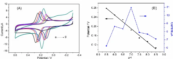 Figure 5.  (A) Effect of scan rates on the redox behavior of 0.1 mM DA in 0.1 M PBS (pH 7.0) at the GQDs/GCE (scan rate: 20, 40, 60, 80, 100, 120, 140, 160, 180, 200 mV·s-1); (B) The linear relationship of ipa and ipc with v (mV·s-1)  