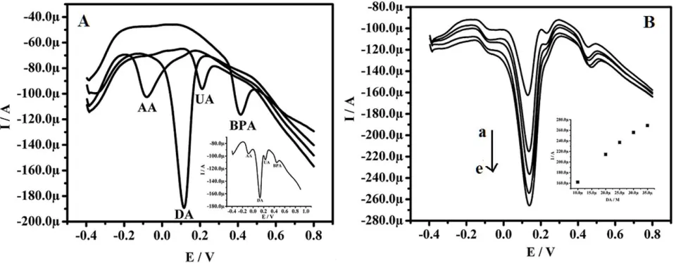 Figure 10. A shows Differential pulse voltammograms of individual 5x10-4M AA, 4x10-4M UA, 1.5x10-4M BPA and 2x10-4M DA in 0.2M PBS pH 7.4 at MCPE prepared with SDS/polyglycine/ CTAB- NiO nanoparticles and corresponding Differential pulse voltammogram  show