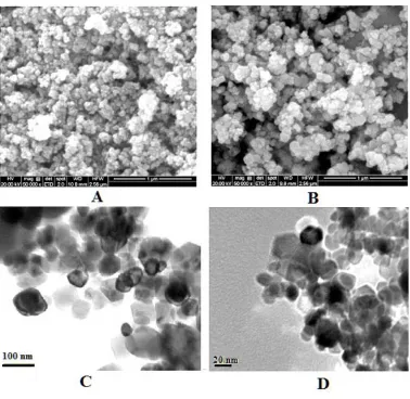 Figure 2. SEM images of (A) SDS-NiO nanoparticles and (B) CTAB-NiO nanoparticles and corresponding TEM images (C) SDS-NiO nanoparticles and (D) CTAB-NiO nanoparticles