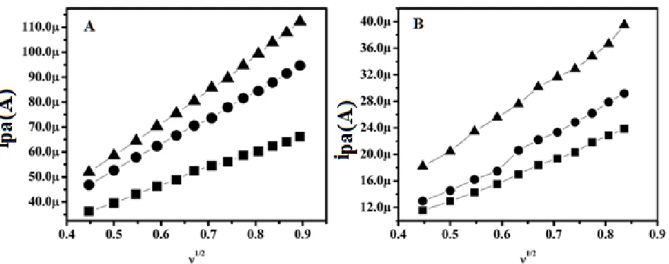Figure 7. For MCPE prepared with SDS-NiO nanoparticles and CTAB-NiO nanoparticles with different scan rates (0.2, 0.25, 0.3, 0.35, 0.4, 0.45, 0.5, 0.55 and 0.6 V/s) in 0.2M PBS pH 7.4, the Fig