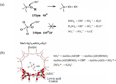 Figure 6. (a) Schematic illustration of the structures of HSO(b) Structure of the adsorption complex of SO4process on zeolite in the generation of SO2-
