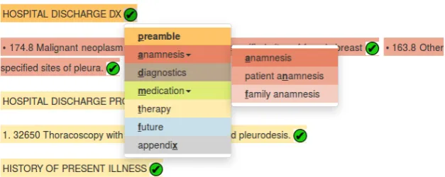 Figure 2: Sublabels of anamnesis tag in a secondary drop-down menu shown when the user clicks on the superlabelanamnesis; the bold and underlined letters display the shortcuts of the labels.