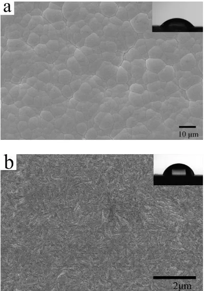 Figure 1.  The morphology of electroless Ni-P and electroplated Cu coatings: a: Ni-P; b: Cu 