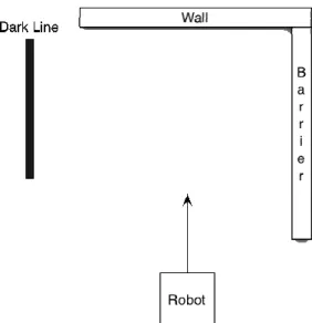 Figure 1. Line-finding task for