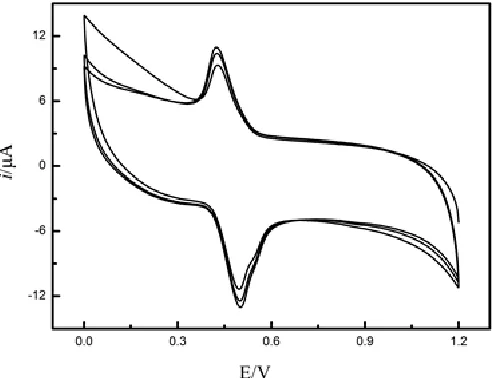 Figure 2.  Cyclic voltammetry of the bare GCE in 1 g L-1 PA, CLA and CAA solution after being immersed in borax buffer solution (pH 9.18) 
