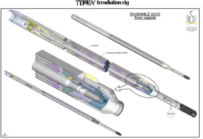 Figure 2.  Irradiation rig 