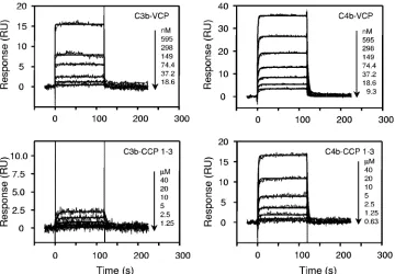 TABLE 2. Kinetic and afﬁnity data for the interactions of VCP and the CCP 1–3 mutant with C3b and C4ba