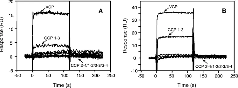 FIG. 8. Binding of VCP mutants to C3b and C4b. Binding was determined by SPR. Sensograms were generated by injection of VCP (0.6 �or its mutants (40M) �M) over a streptavidin sensor chip immobilized with C3b (Fc-2) and C4b (Fc-3)