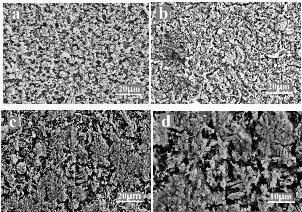 Figure 11. Corrosion morphologies after running potentiodynamic polarization of (a) S1 (b) S3 and (c) (d) S4 cladding layers  