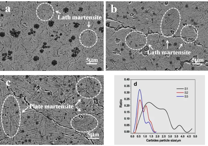 Figure 3. Optical microscope images of S1 and S3 cladding layers 