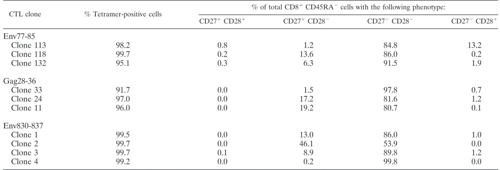TABLE 1. CD27 and CD28 expression in HIV-1-speciﬁc CTL clones