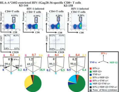 FIG. 6. Coexpression of three cytokines in freshly isolated HIVGag28-36HIV-1 clone NL-432gagIntracellular cytokine production of Gag28-36-speciﬁc CD8cells are gated to determine both the frequency of cells expressing these cytokines and the CD27 and CD28 e