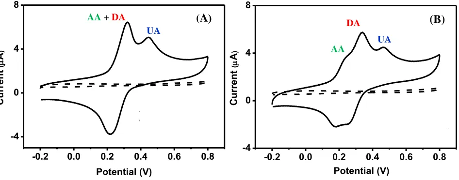 Figure 4.  Cyclic voltammogram of the Fe3O4@Au-Cys/PANI/GFE in 0.1 M PBS (pH = 7) solution containing 1 mM of AA, DA and UA in conditions (A) without and (B) with coating electrode with SDS at a scan rate of 50 mVs-1