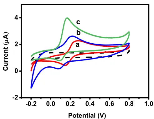 Figure 2.  Cyclic voltammograms of 1 mM DA on (a) Fe3O4/GFE, (b) Fe3O4@Au-Cys/GFE and (c) Fe3O4@Au-Cys/PANI/GFE at scan rate 50 mV/s, respectively
