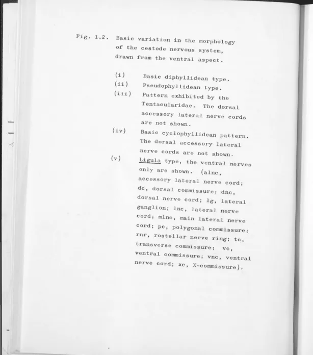 Fig. 1.2. 