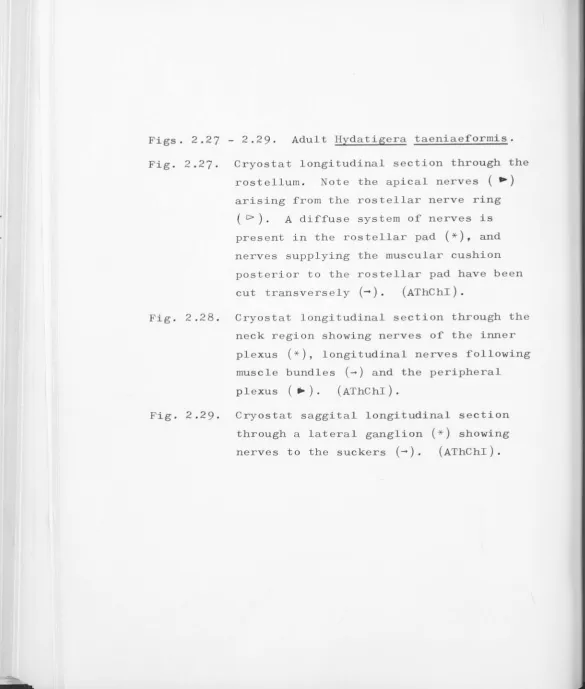 Fig. 2.27 . 