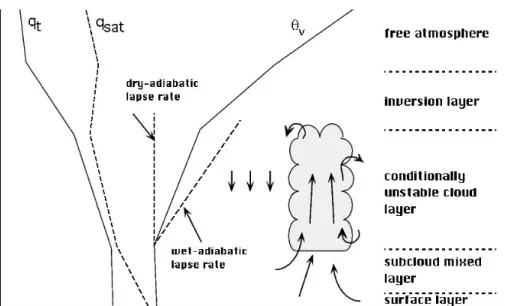 Figure  2.1: Potential temperature lapse rates. Clouds will form when the lapse rate is  between the dry- and wet-adiabatic lapse rate