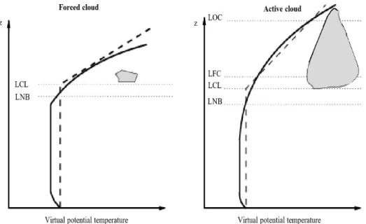 Figure  2.2: Forced and active cloud development including appropriate levels. Solid   line is the environmental lapse rate