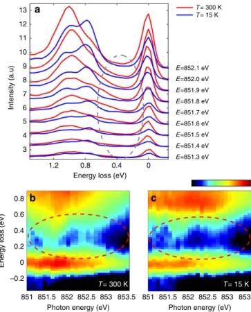 Figure 5 | Low-energy electron–hole pair continuum in the RIXS spectra.