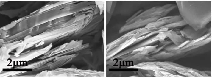 Figure 2. SEM images of (a) GL and (b) GLO in the range of 2 μm 