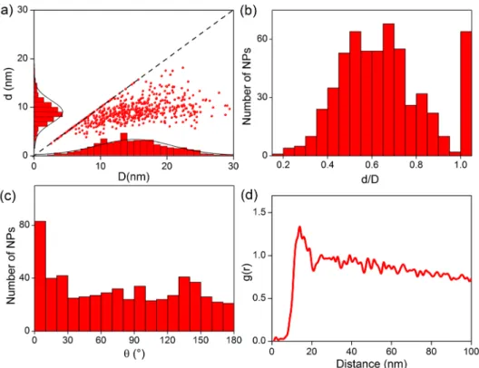 FIG. 2. (a) Distributions of the appar- appar-ent Feret diameters and (b) aspect ratio of F1 NPs in the (e 1 , e 2 ) plane  mea-sured by TEM
