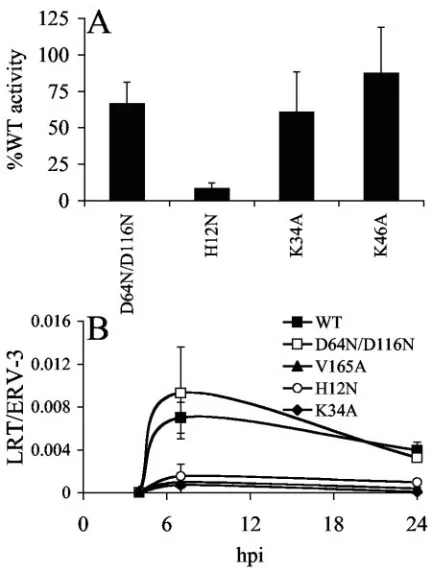 FIG. 2. Particle release and reverse transcription proﬁles of wild-type and mutant viruses