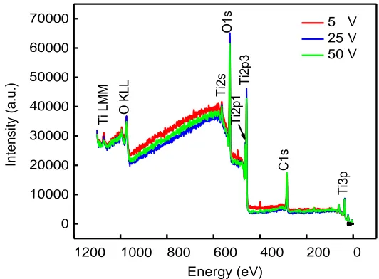 Figure 2.  XPS survey spectrum of the anodic oxide film formed on Ti 