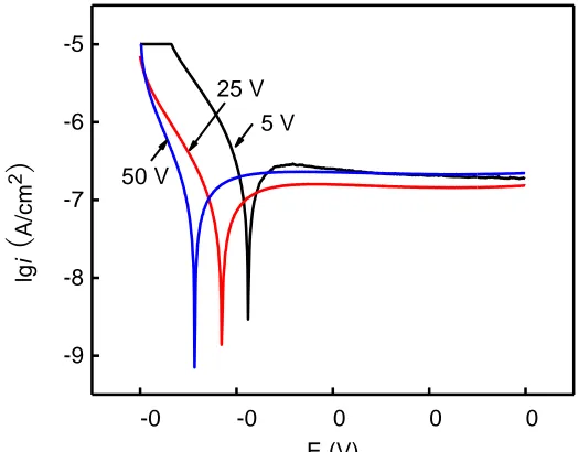 Figure 5.  Potentiodynamic polarization curves of the anodic oxide films formed after 30 h of immersion in NaCl solution 