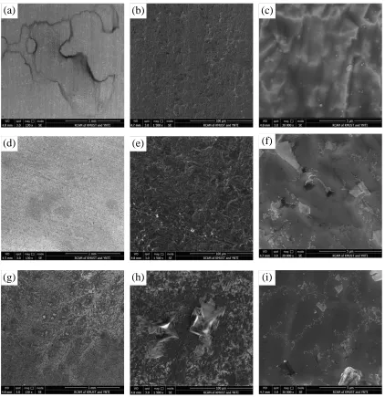 Figure 9.  Surface morphologies of the anodic oxide films formed on Ti after immersion in 3.5 wt.% NaCl solution for 30 h ((a,b,c) 5 V, (d,e,f) 25 V, (g,h,i) 50 V) 