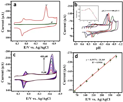 Figure 4. (a) The CVs of (a´)bare GCE and (b´) GCE/f-MWCNTs in 0.05 M PB solution, in the presence of 200 µM 4-NP