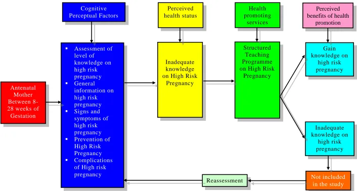 FIG: 2.3: MODIFIED PENDER’S HEALTH PROMOTION MODEL 