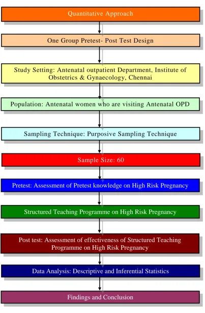 Figure: 3.5: Schematic Representation of the study 